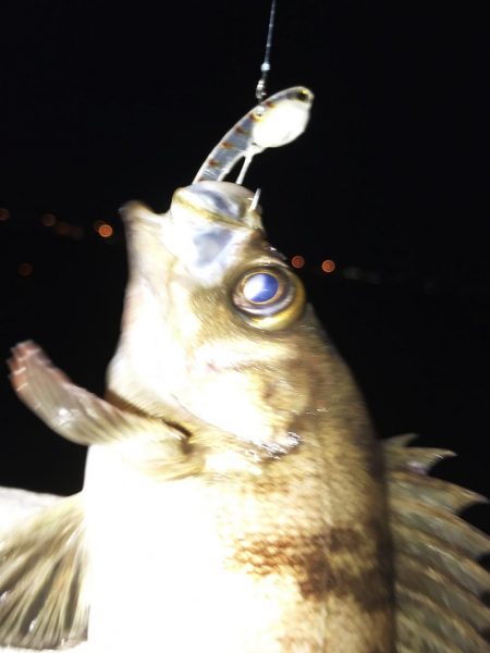 スーパーボウルでメバル